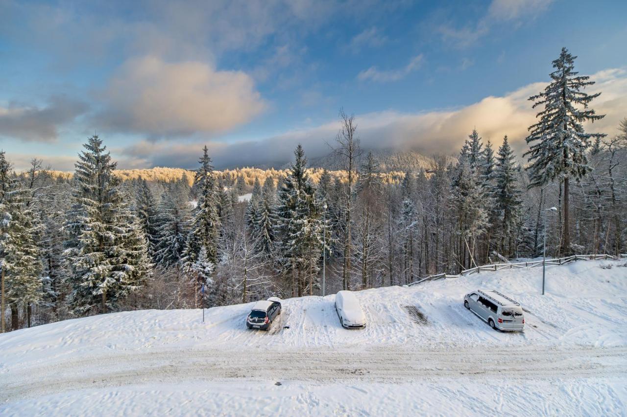 Silver Sunrise Studio In Silver Mountain Poiana Brasov Exterior photo